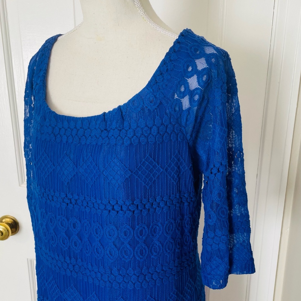 Rabbit Rabbit Rabbit Royal Blue Lace Shift Dress - Picture 3 of 5